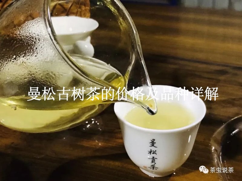 曼松古树茶的价格及品种详解2