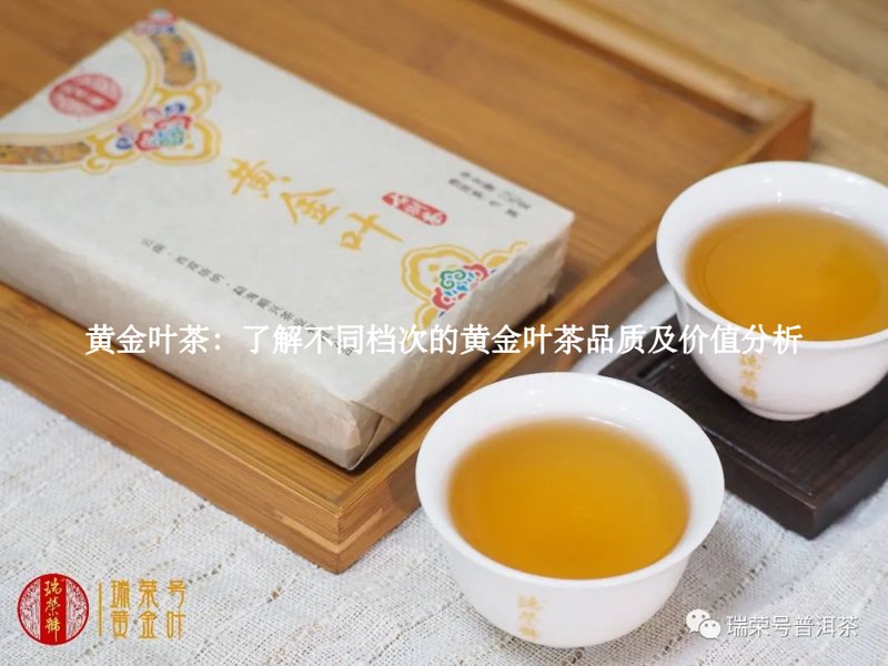 黄金叶茶：了解不同档次的黄金叶茶品质及价值分析2