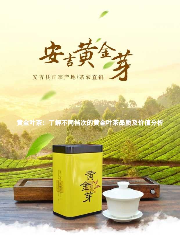 黄金叶茶：了解不同档次的黄金叶茶品质及价值分析3