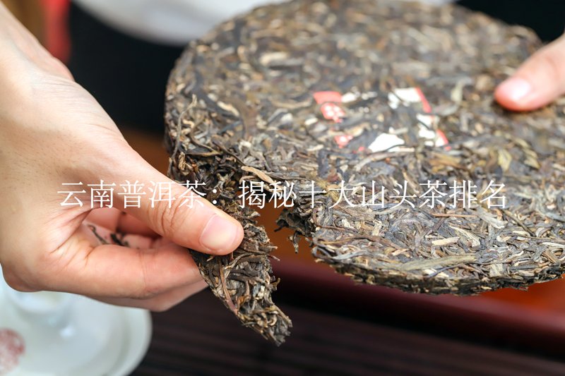 云南普洱茶：揭秘十大山头茶排名3
